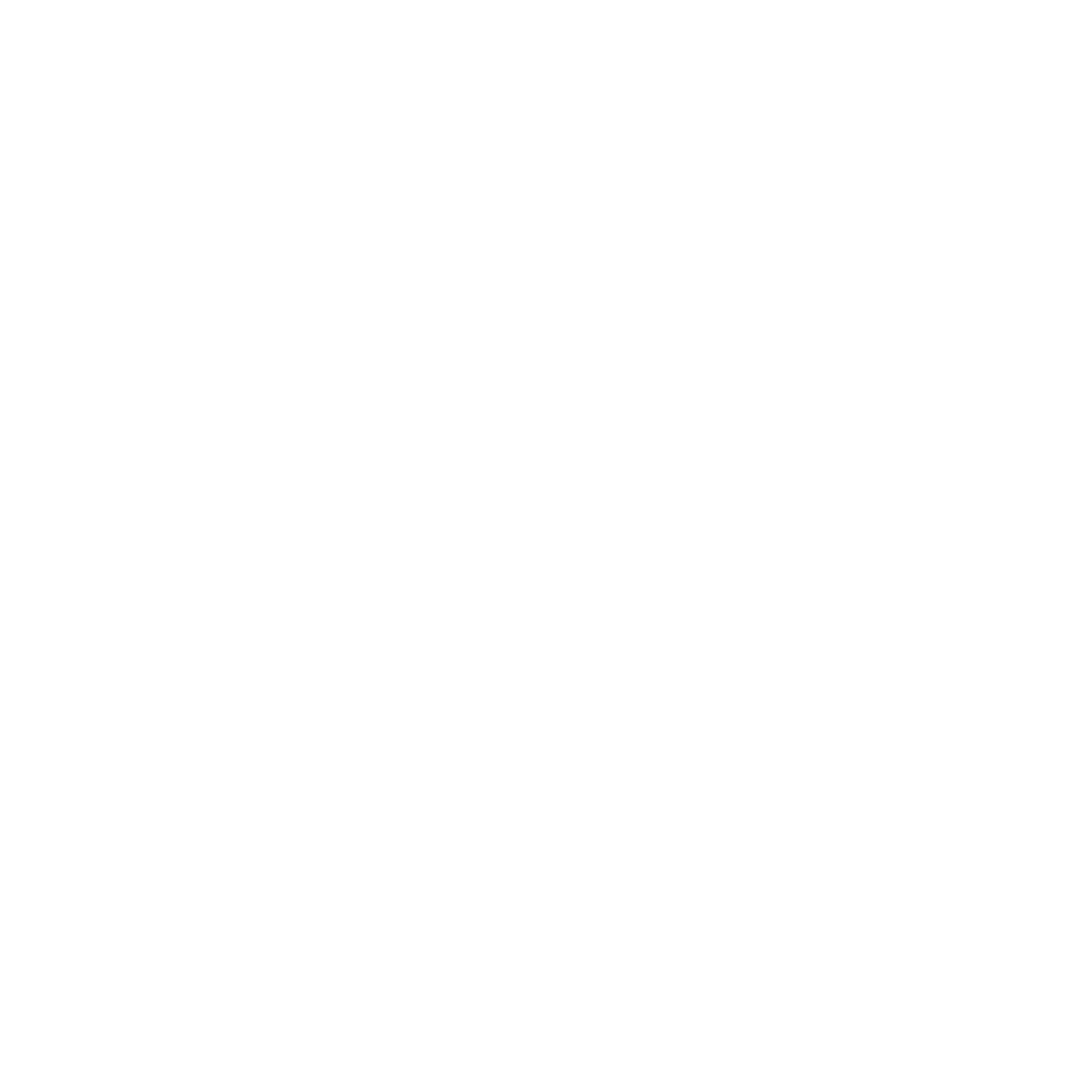 Government Accelerators