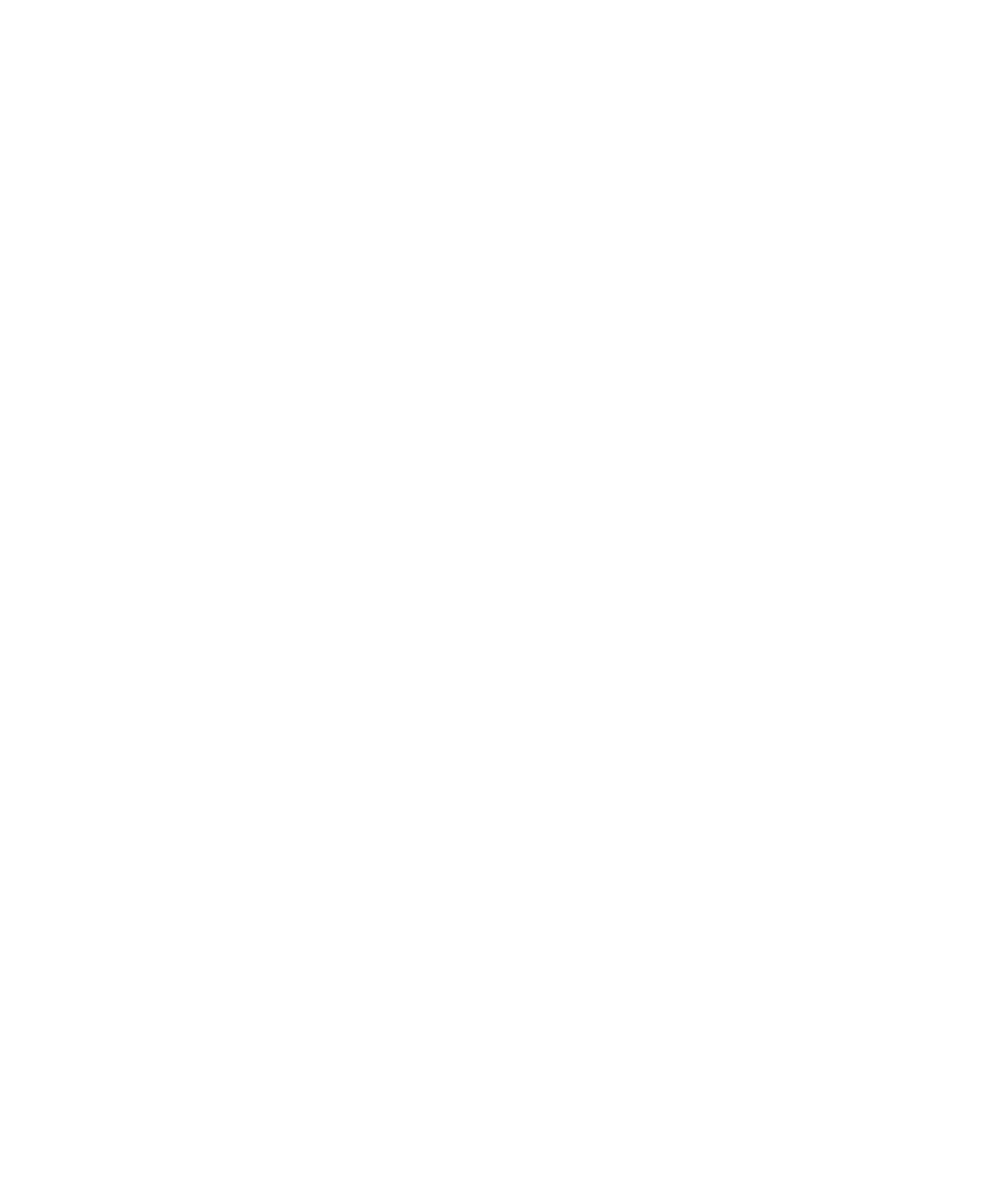 Dubai The Capital of Arab Media 